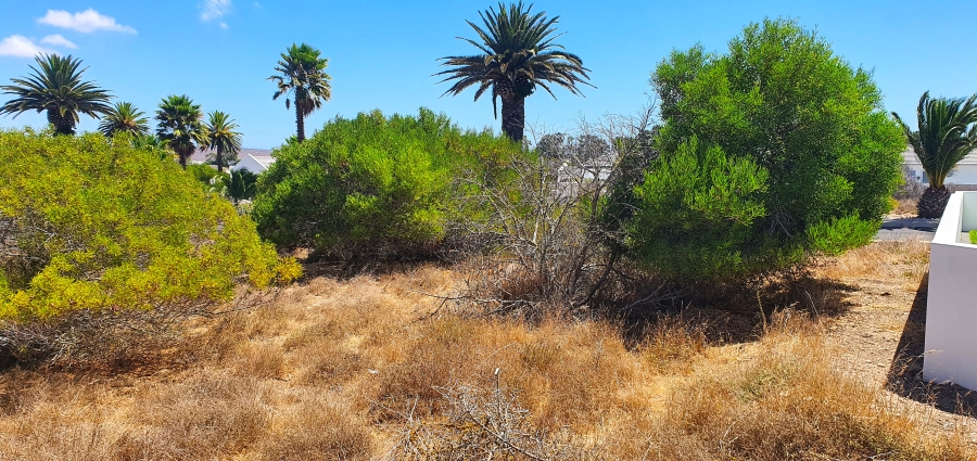 0 Bedroom Property for Sale in Shelley Point Western Cape